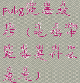 pubg跑毒技巧(吃鸡中跑毒是什么意思)