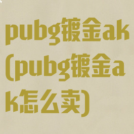 pubg镀金ak(pubg镀金ak怎么卖)
