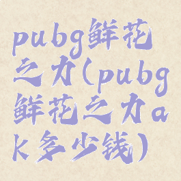 pubg鲜花之力(pubg鲜花之力ak多少钱)