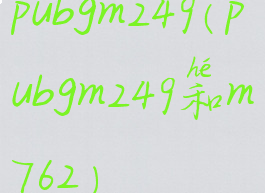 pubgm249(pubgm249和m762)