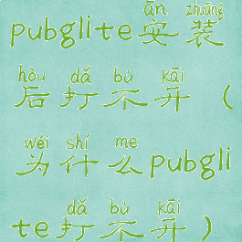 pubglite安装后打不开(为什么pubglite打不开)
