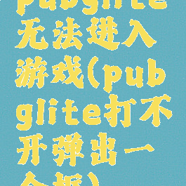 pubglite无法进入游戏(pubglite打不开弹出一个框)