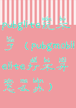 pubglite玩不了(pubgmobilelite打不开怎么办)