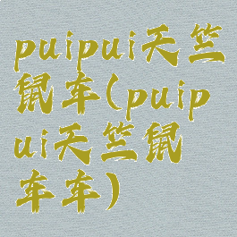 puipui天竺鼠车(puipui天竺鼠车车)