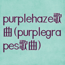 purplehaze歌曲(purplegrapes歌曲)