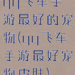 qq飞车手游最好的宠物(qq飞车手游最好宠物皮肤)