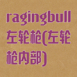 ragingbull左轮枪(左轮枪内部)