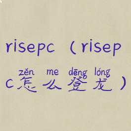 risepc(risepc怎么登龙)