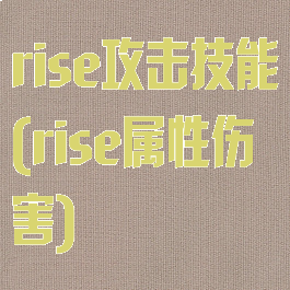 rise攻击技能(rise属性伤害)