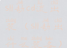 s11劫cd流出装(s11劫出什么装备)