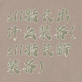 s11船长出什么装备(s11船长新装备)
