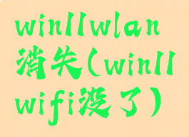 win11wlan消失(win11wifi没了)