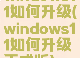 windows11如何升级(windows11如何升级正式版)