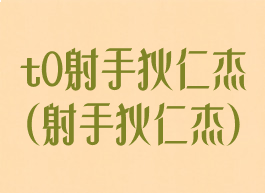 t0射手狄仁杰(射手狄仁杰)