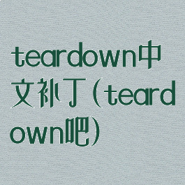 teardown中文补丁(teardown吧)