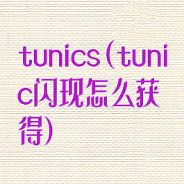 tunics(tunic闪现怎么获得)