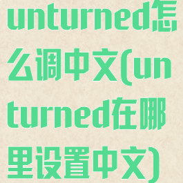 unturned怎么调中文(unturned在哪里设置中文)
