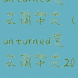 unturned怎么调中文(unturned怎么调中文2020)