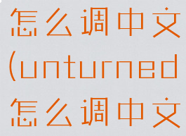unturned怎么调中文(unturned怎么调中文视频)