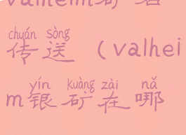 valheim矿石传送(valheim银矿在哪)