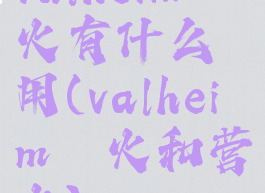 valheim篝火有什么用(valheim篝火和营火)