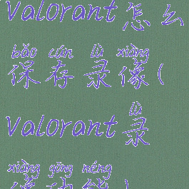 valorant怎么保存录像(valorant录像功能)